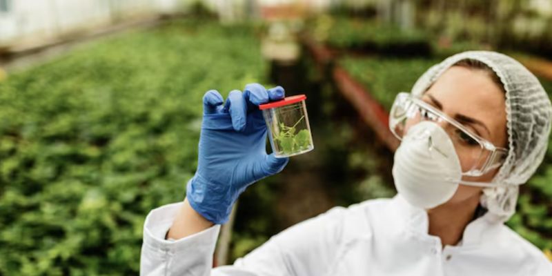 Advanced Biofeedstocks Are Becoming the Binding Constraint on Scaling Low-Carbon Fuels